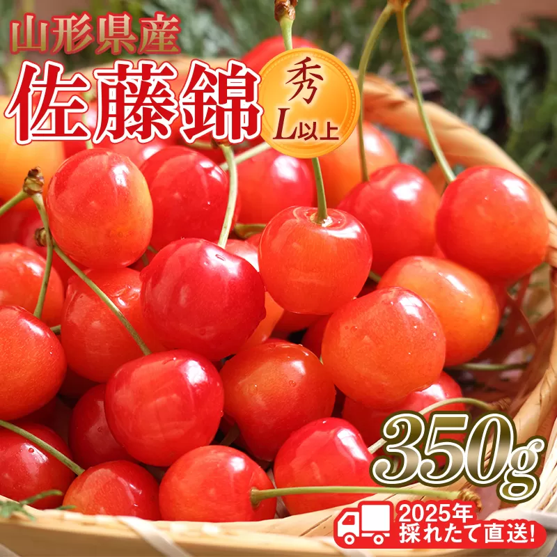 FYN6-030 ≪先行予約≫2025年 山形県産 さくらんぼ 佐藤錦 350g 秀/L以上 バラパック詰め 2025年6月中旬頃より発送 果物 くだもの フルーツ 夏果実 サクランボ 桜桃 高級 贈答 ギフト 山形県 西川町