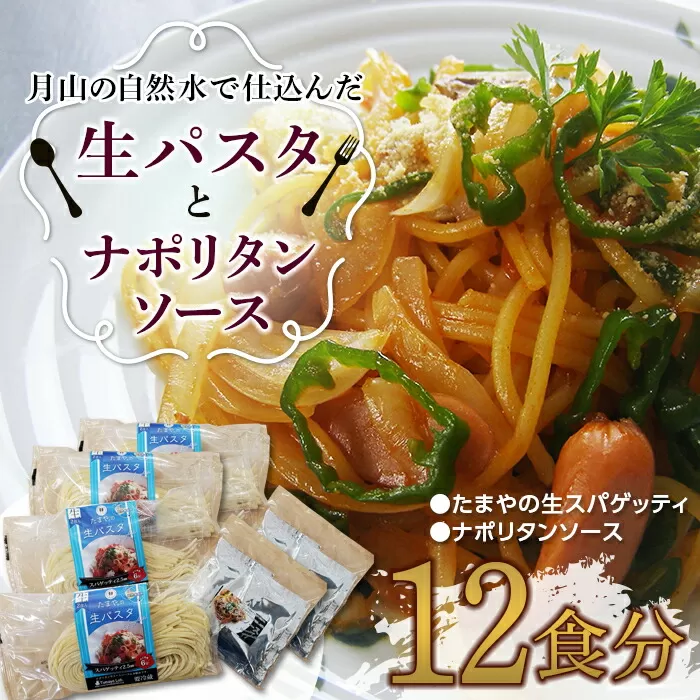 FYN9-480 【玉谷製麺所】たまやの生パスタ・ナポリタンセット（12食分）めん 麺 麺類 山形県 西川町