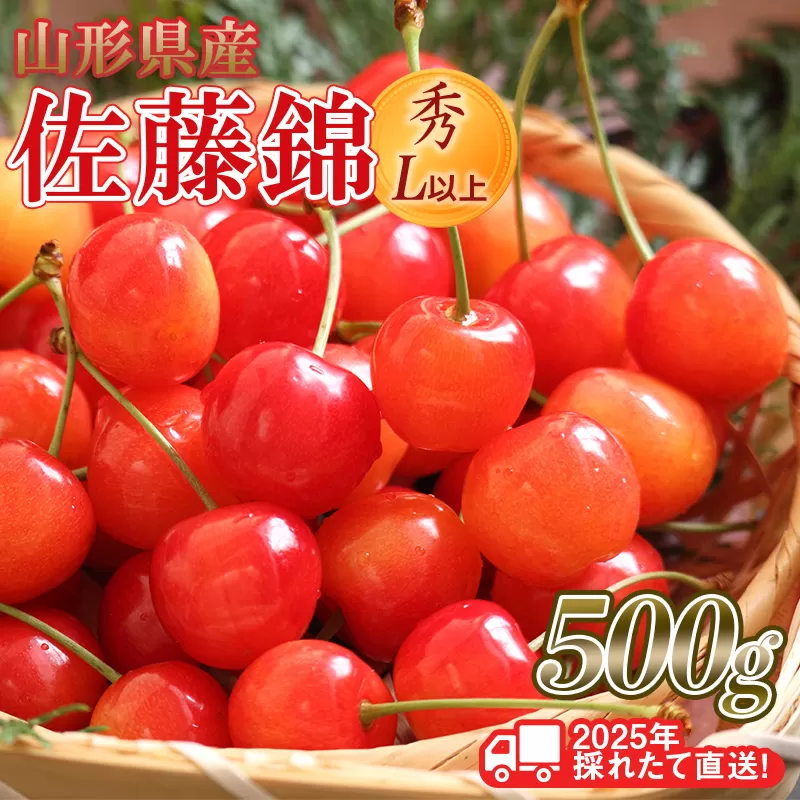 FYN6-028 ≪先行予約≫2025年 山形県産 さくらんぼ 佐藤錦 500g 秀/L以上 バラパック詰め 2025年6月中旬頃より発送 果物 くだもの フルーツ 夏果実 サクランボ 桜桃 高級 贈答 ギフト 山形県 西川町