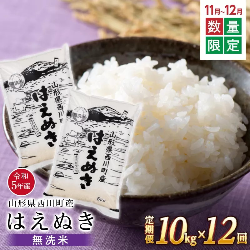 FYN9-997 【定期便12回】令和5年産 山形県 西川町産 無洗米 はえぬき 10kg 2024年1月から発送開始! ≪11～12月 お申込み 数量限定! 早い者勝ち!! ≫ 精米 白米 米 お米 ブランド米 ごはん ご飯 月山