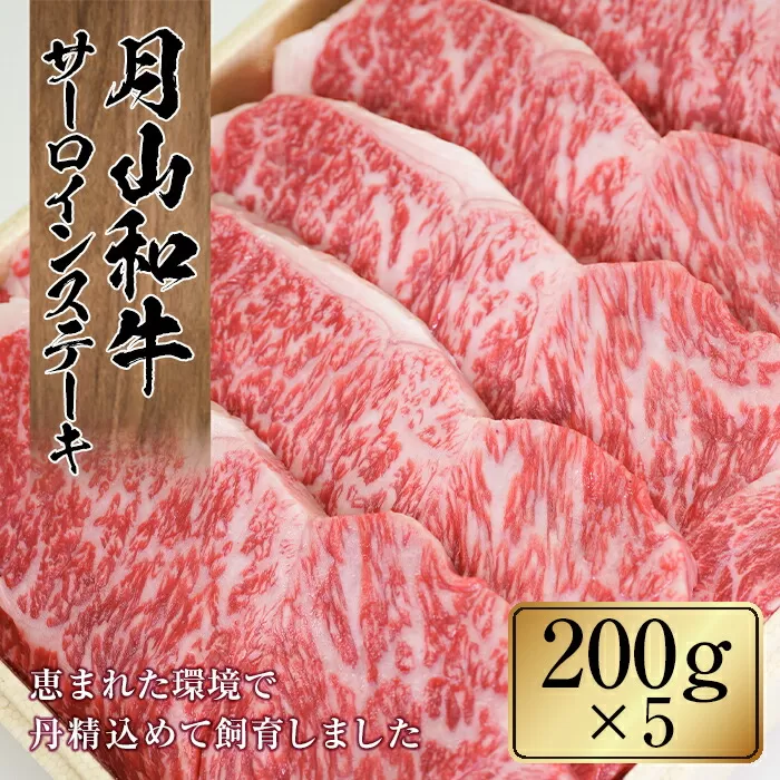 FYN9-863 山形県産黒毛和牛《月山和牛》福寿館 サーロインステーキ 200g×5枚 牛肉 山形県 西川町