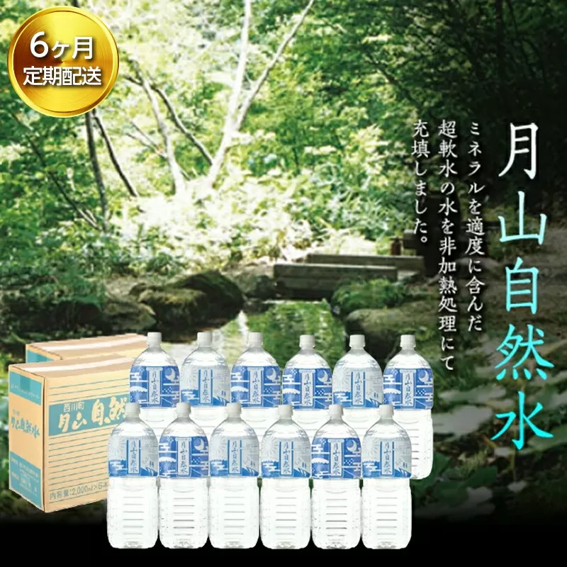 FYN9-728 【定期便】月山自然水2000ml×6本×2箱×6ヶ月コース 天然水 国産 備蓄 防災 保存 ペットボトル ナチュラル 山形県 西川町