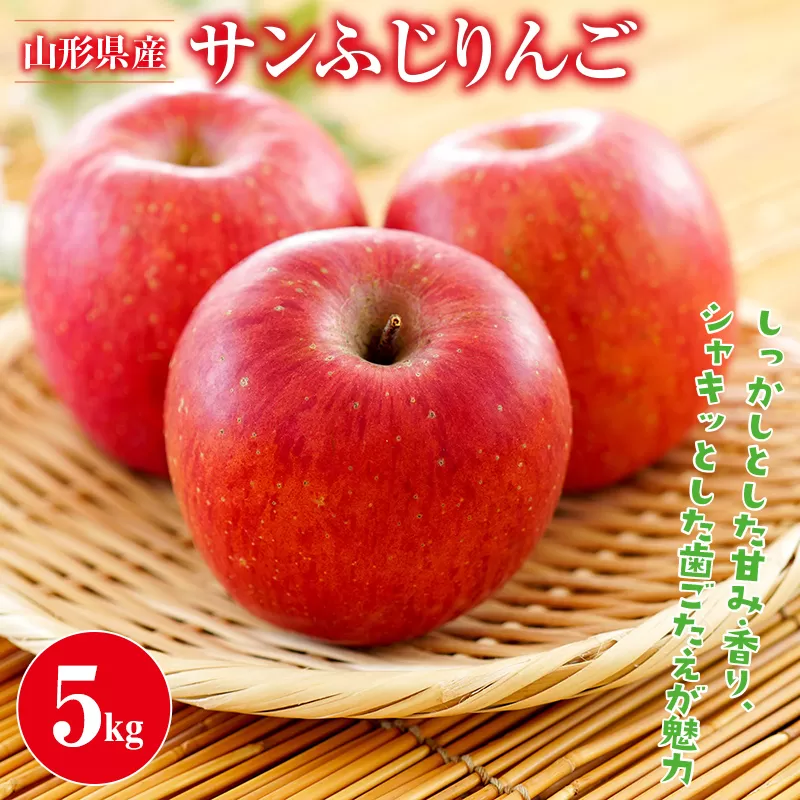 FYN9-385 ≪先行予約≫ご家庭用 2024年 山形県産 サンふじりんご 5kg 2024年11月中旬から順次発送 林檎 りんご リンゴ 秋果実 果物 くだもの フルーツ 自宅用 産地直送 期間限定 山形県 西川町 月山