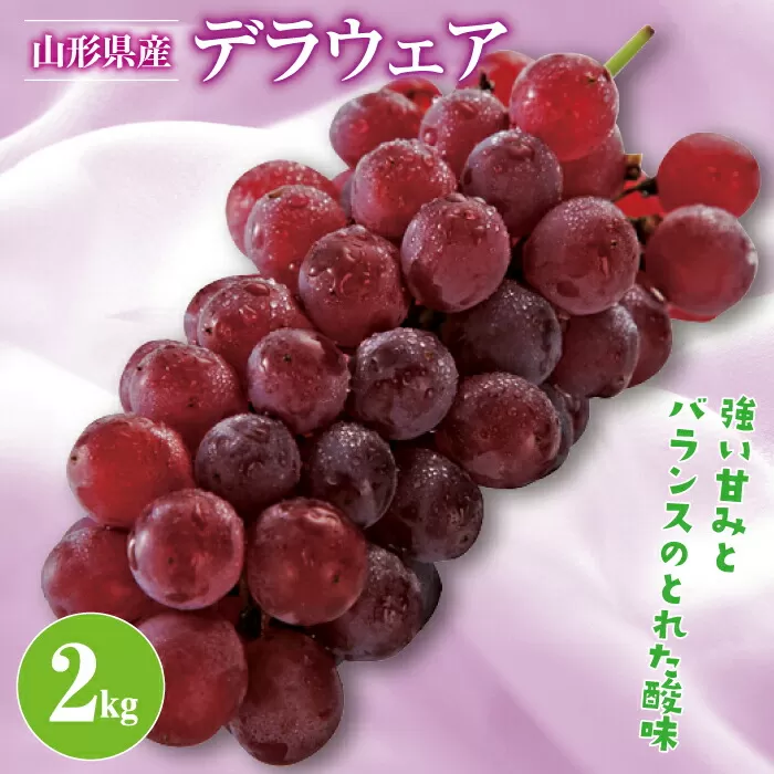 FYN9-383 《先行予約》2024年 山形県産 デラウェア 2kg 2024年8月上旬から順次発送 ぶどう ブドウ 葡萄 甘い 小粒 種なし くだもの フルーツ 果物 夏果実 山形県 西川町 月山