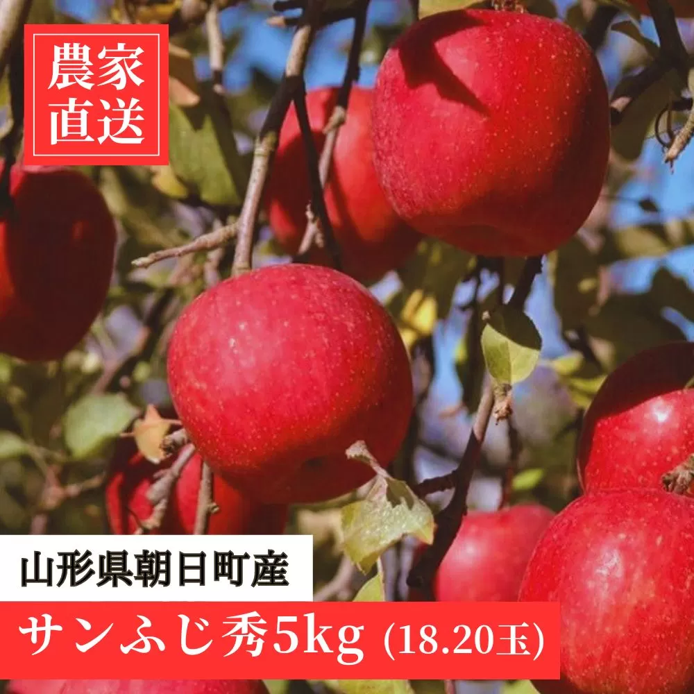 ＜農家直送＞朝日町産 りんご「サンふじ」秀品 5kg【12月上旬発送】