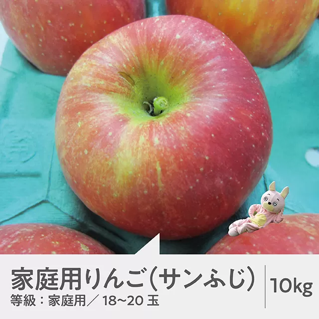 朝日町産【ご家庭用 訳あり】 サンふじ 10kg（36〜46玉）