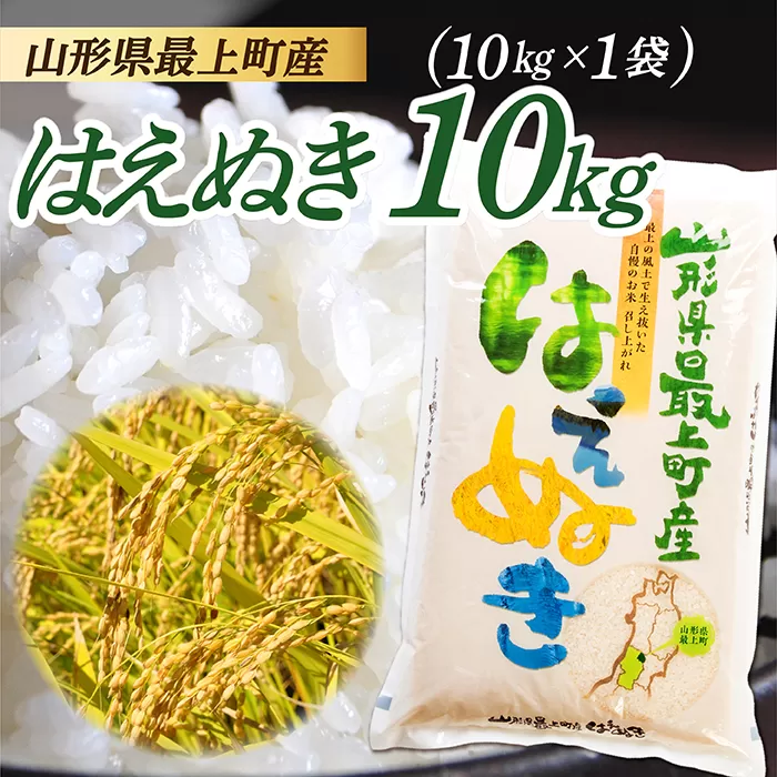 【令和6年産】山形県産　はえぬき10kg（10kg×1袋）