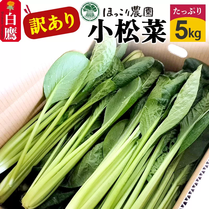 山形県白鷹町産【訳あり】とれたて小松菜（5kg）個数限定 国産 旬 野菜 やさい こまつな