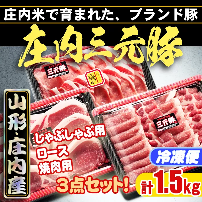 ブランド豚「庄内三元豚」3点セット（計1.5kg）