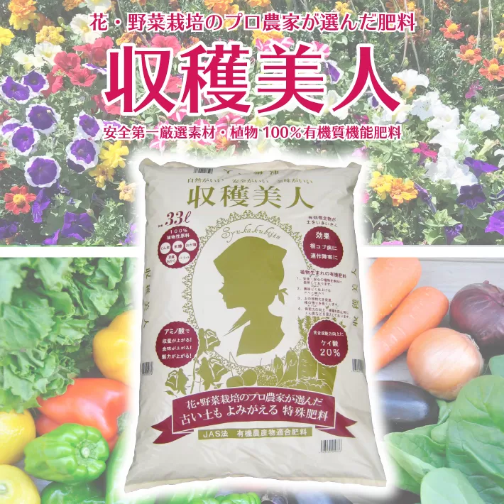 花・野菜栽培のプロ農家が選んだ肥料　収穫美人