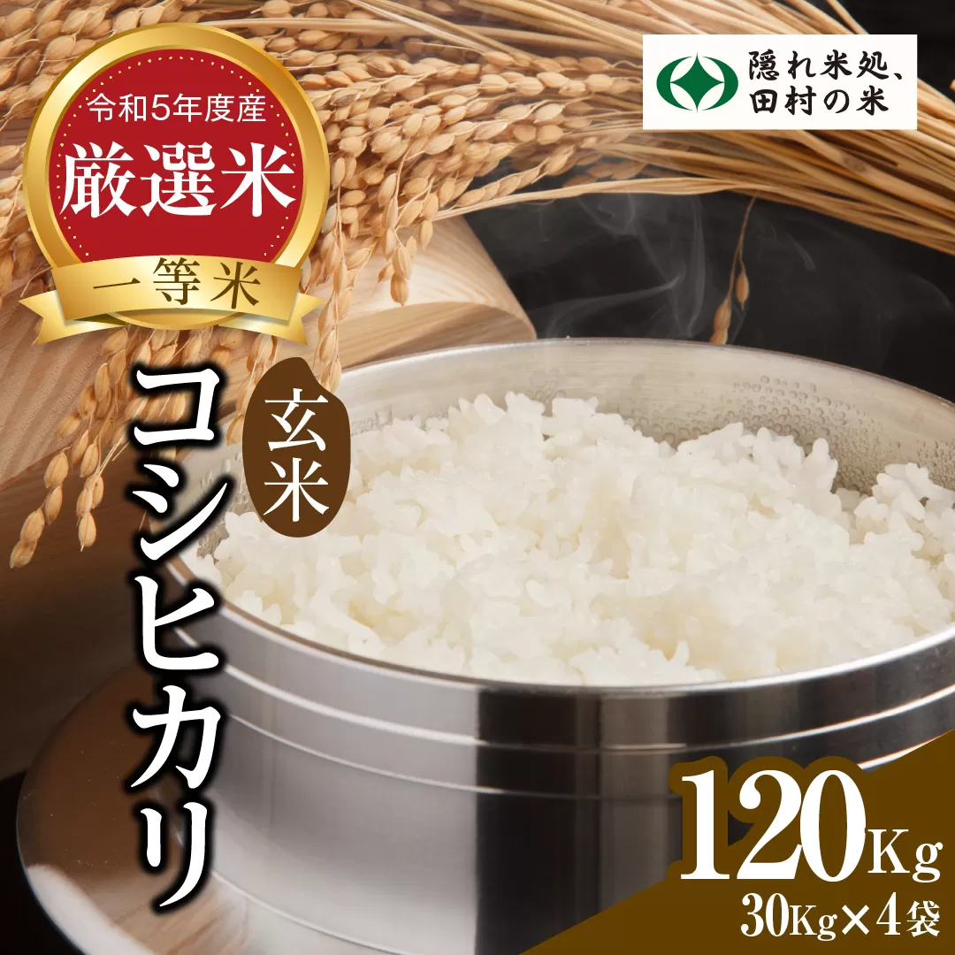 令和5年産 ＼定期便6回／ 無洗米 ひとめぼれ 60kg 10kg ずつ 6回 配送