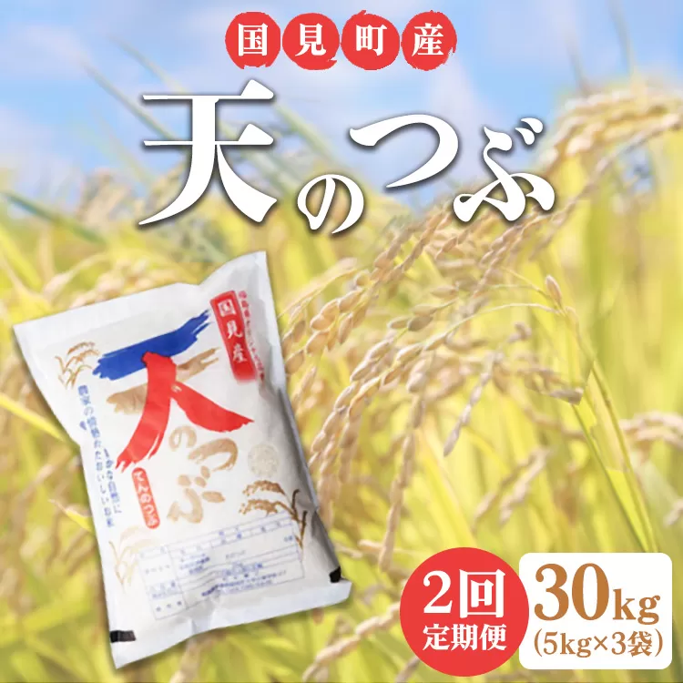 【全2回定期便】【令和6年産】米　国見町産　天のつぶ 30kg　5kg×3袋　2回定期便 ※九州・沖縄県・離島への配送不可 ※2024年10月中旬～2025年2月頃に順次発送予定