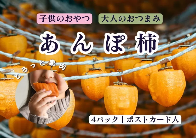 【2回定期便】【季節限定】あんぽ柿（4トレー）※着日指定不可※沖縄・離島への配送不可※2023年10月下旬〜2024年2月下旬頃に順次発送予定