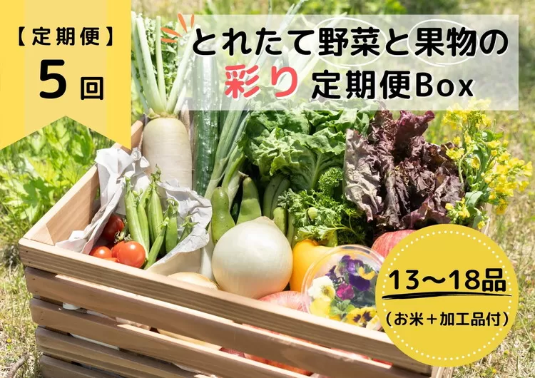 【定期便5回】とれたて野菜と果物の彩り定期便Box【お米 加工品付き】 13～18品目の豪華セット ※着日指定不可 ※沖縄・離島への配送不可 ※2023年9月中旬～2024年3月中旬頃に順次発送予定