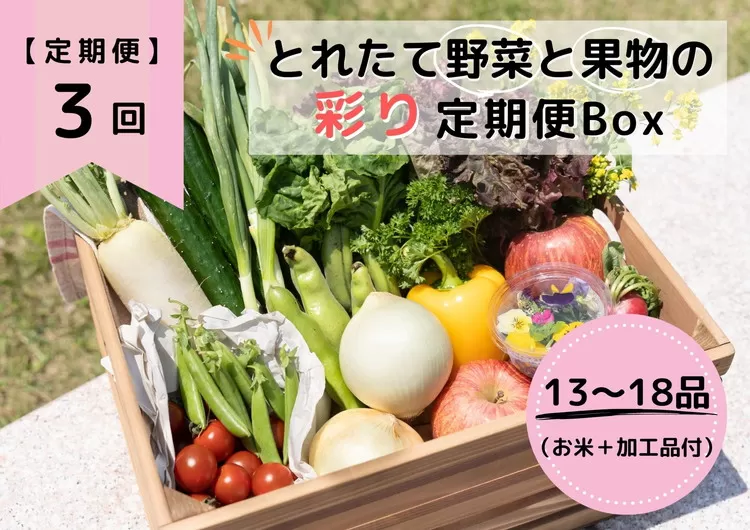 【定期便3回】とれたて野菜と果物の彩り定期便Box【お米 加工品付き】 13～18品目の豪華セット ※着日指定不可 ※沖縄・離島への配送不可 ※2024年2月中旬～2024年5月中旬頃に順次発送予定