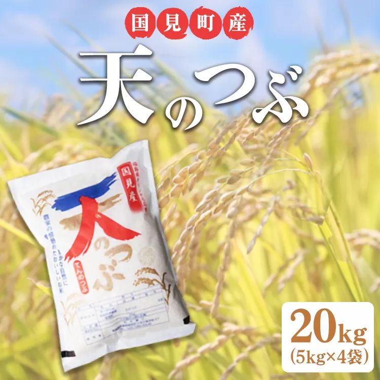 【令和6年産】米　国見町産　天のつぶ 20kg　5kg×4袋 ※九州・沖縄県・離島への配送不可 ※2024年10月中旬～2025年2月頃に順次発送予定