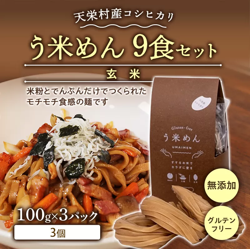 天栄村産コシヒカリ玄米 う米めん 9食セット 無添加 グルテンフリー F21T-074