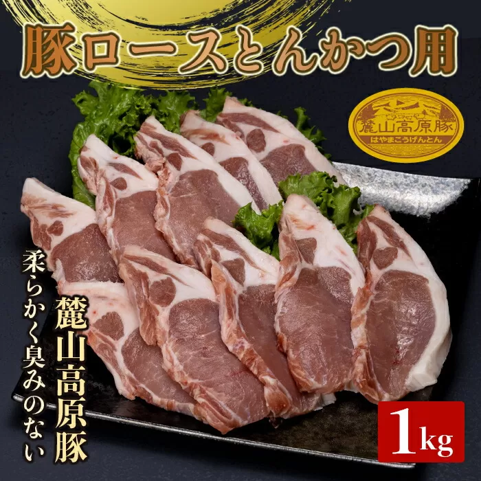 麓山高原豚ロースとんかつ用 1kg（100g×10） 肉 豚肉 ロース とんかつ 東北 福島県 麓山 高原 F21T-043