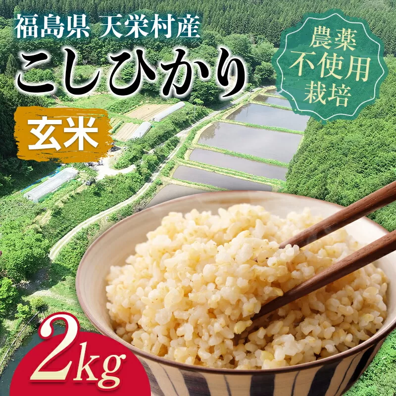 自然農法 で育った お米「こしひかり」玄米 2kg F21T-142