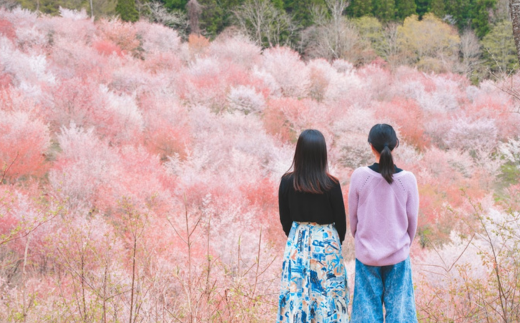 桜の名所として親しまれ後世に伝える桜峠づくり