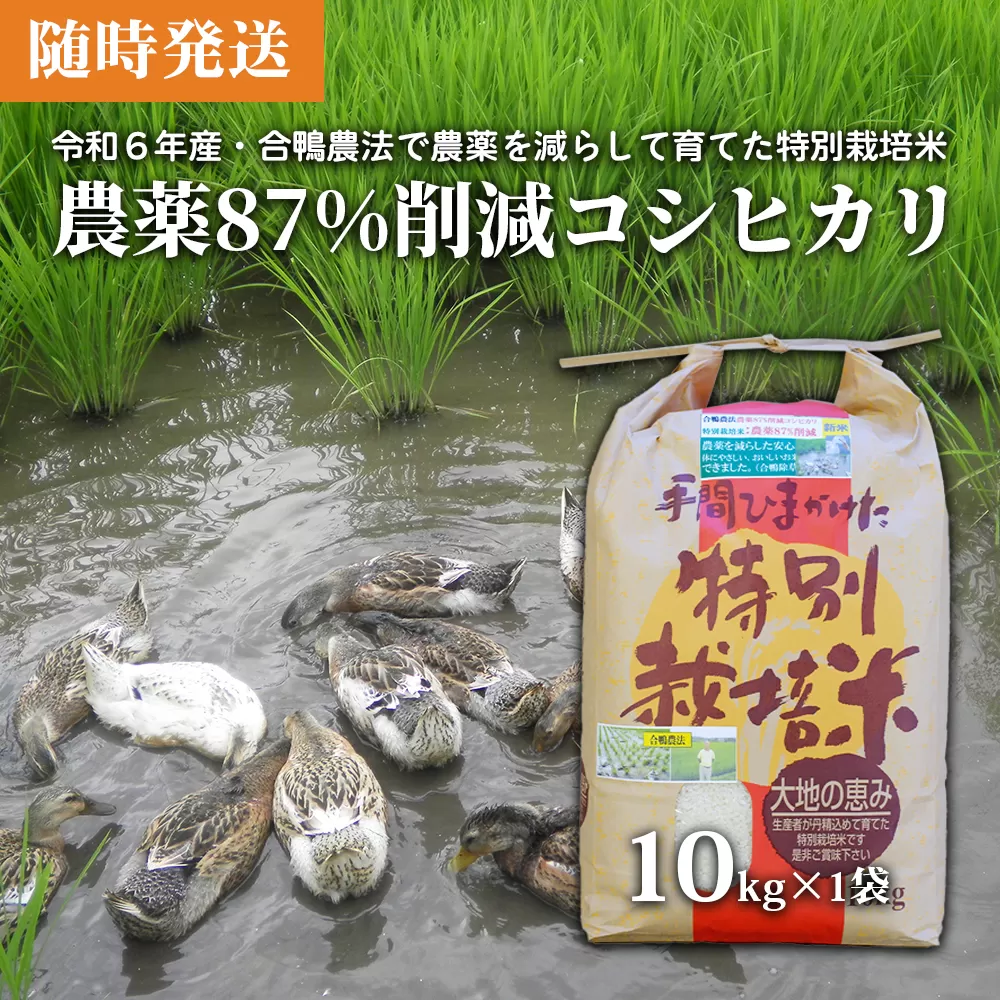 【令和6年産】農薬87%削減　コシヒカリ米　合鴨農法　10kg(特別栽培米、旧名：会津磐梯山黄金米）