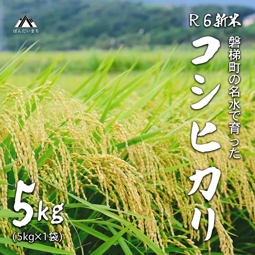 【予約受付】【令和6年産米】コシヒカリ5kg　磐梯町の名水で育ったコシヒカリ　※2024年12月上旬頃より発送予定