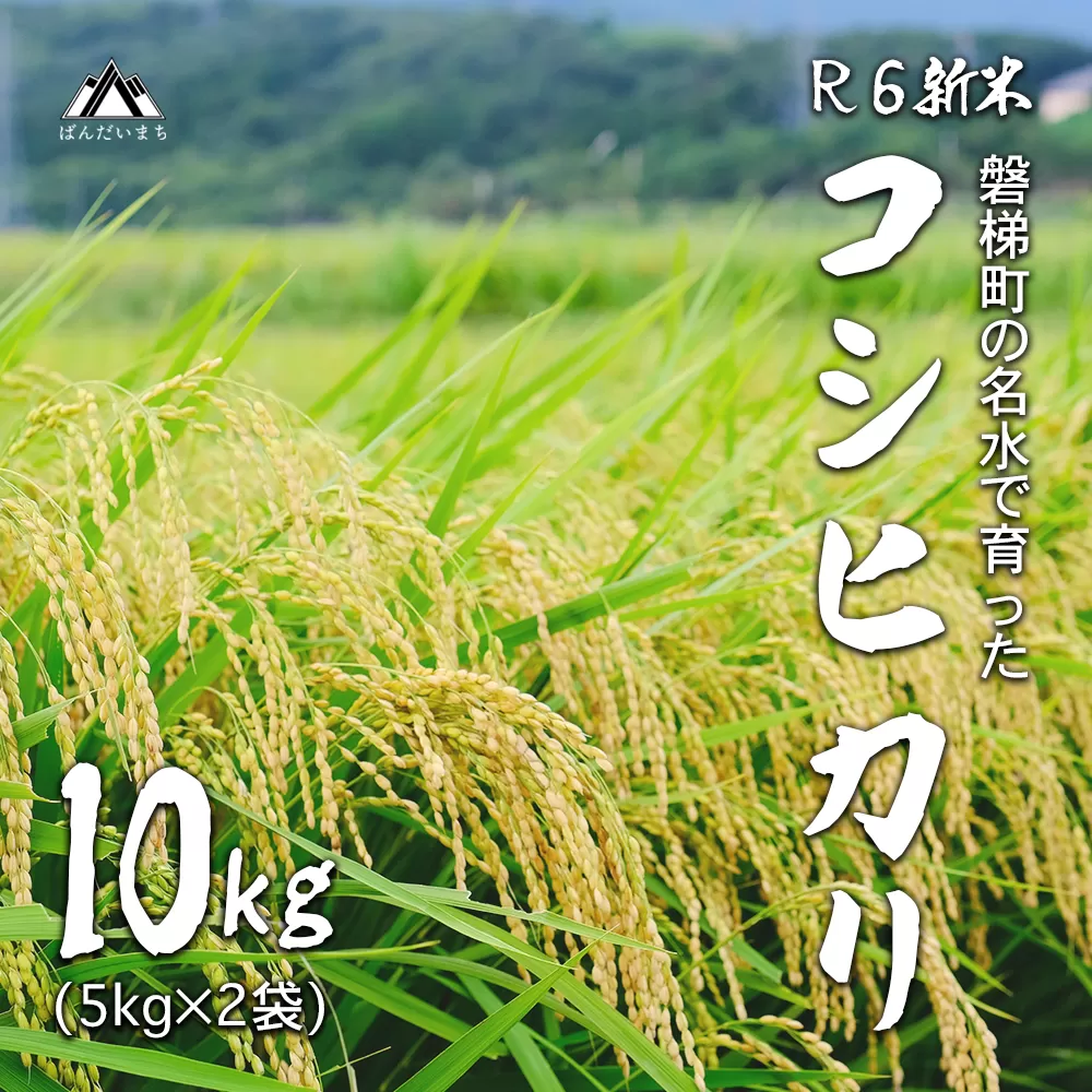 【予約受付】【令和6年産米】コシヒカリ10kg　磐梯町の名水で育ったコシヒカリ