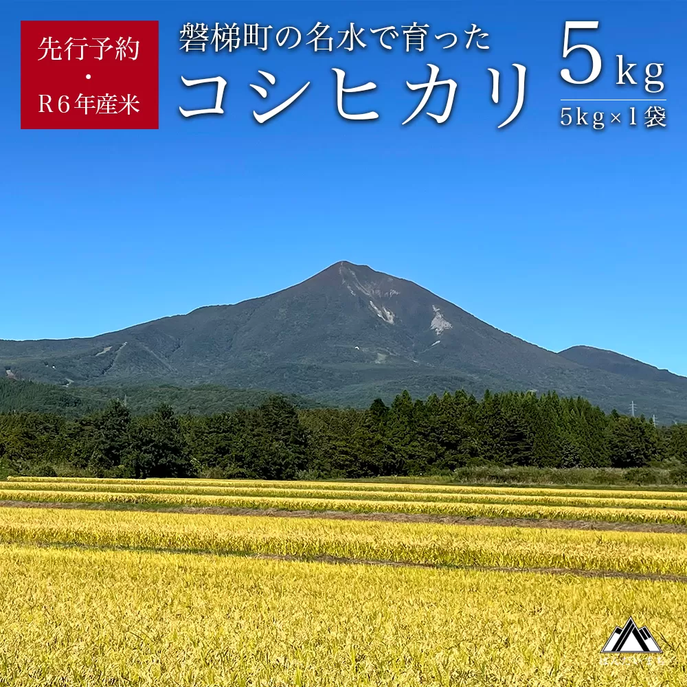 【予約受付】【令和6年産米】コシヒカリ5kg　磐梯町の名水で育ったコシヒカリ