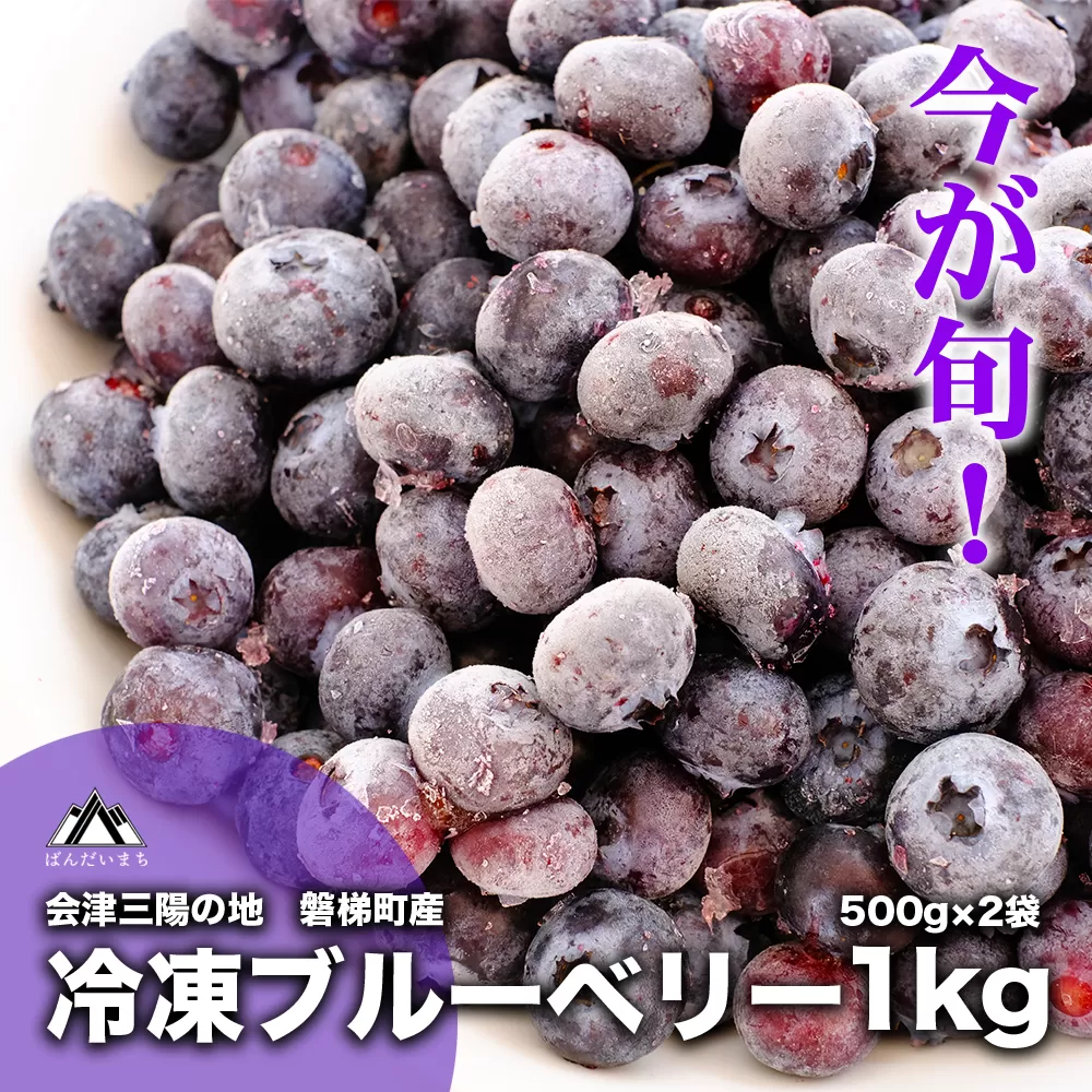 【ふるさと納税】冷凍ブルーベリー 1kg 直径13mm以上　※ご注文後随時発送