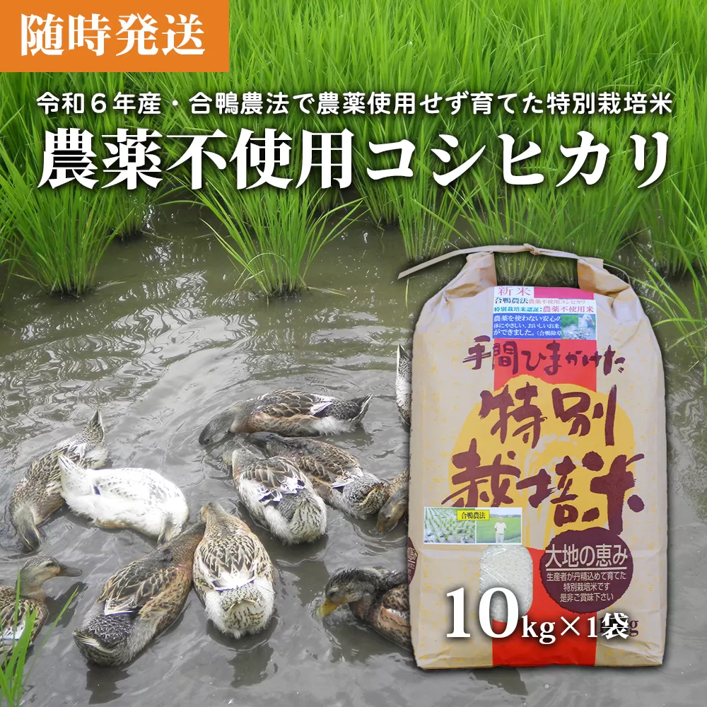 【令和6年産】農薬不使用　コシヒカリ米　合鴨農法　10kg(特別栽培米、旧名：会津磐梯山宝米） 