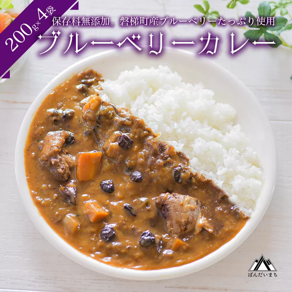 ブルーベリーカレー