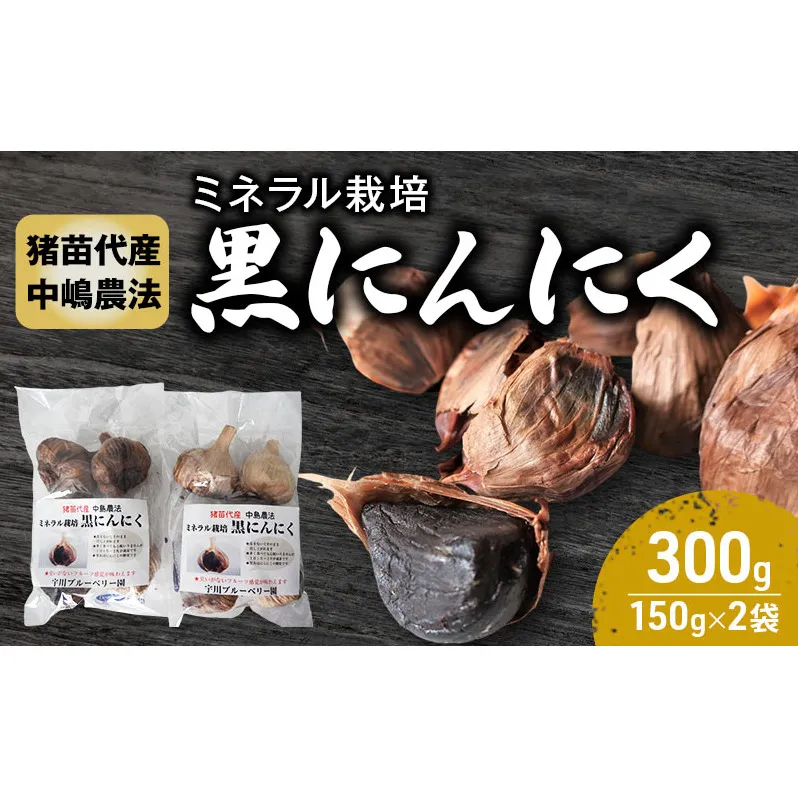 黒にんにく 300g ミネラル栽培 中嶋農法 稲苗代町産 自家製栽培 稲苗代 福島