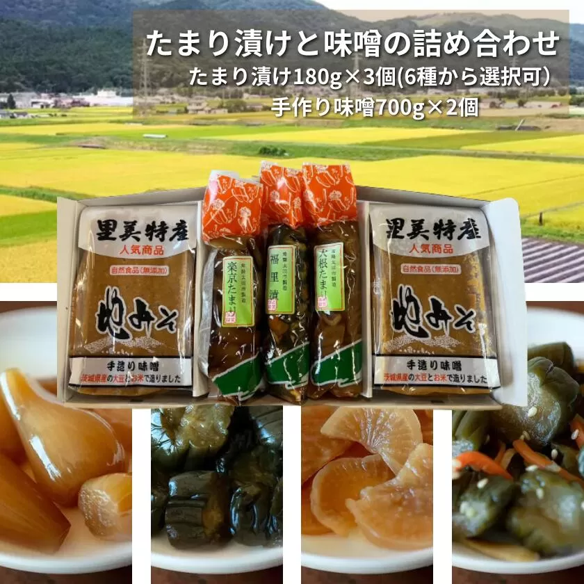 たまり漬け・茨城県産 手作り味噌（700g×２個）・ 地場産の野菜使用 里美のたまり漬け(180ｇ×３個 / 胡瓜たまり 辛入り胡瓜たまり 福里漬 大根たまり 楽京たまり ごまちゃんのいずれか ※指定可能） 【 常陸太田市 里川町 地場産 野菜 里美 お漬物 茨城県産 米 大豆100% 手作り 味噌 人気】