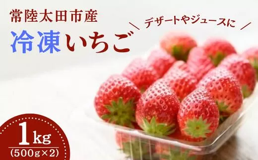 桧山FRUITFARM 冷凍いちご １kg（500g×２袋）いちご農家さんからの直送品　【茨城県 常陸太田 いちご いばらキッス ひたち姫 やよいひめ フルーツ 苺 イチゴ 果肉 まろやかな 品質 健康 果物 デザート 美容 おやつ 料理 ソース 人気 】