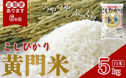 【新米発送 令和6年産】6カ月定期便 黄門米 コシヒカリ 白米 5kg | 茨城県産 常陸太田市 タツミ米穀 コシヒカリ こしひかり 5kg 5キロ 米 こめ コメ お米 白米 精米 お取り寄せ 贈答 人気 ランキング ごはん 贈り物 5キロ 風味 甘い 米どころ ブランド米 黄門米 水戸黄門 人気米