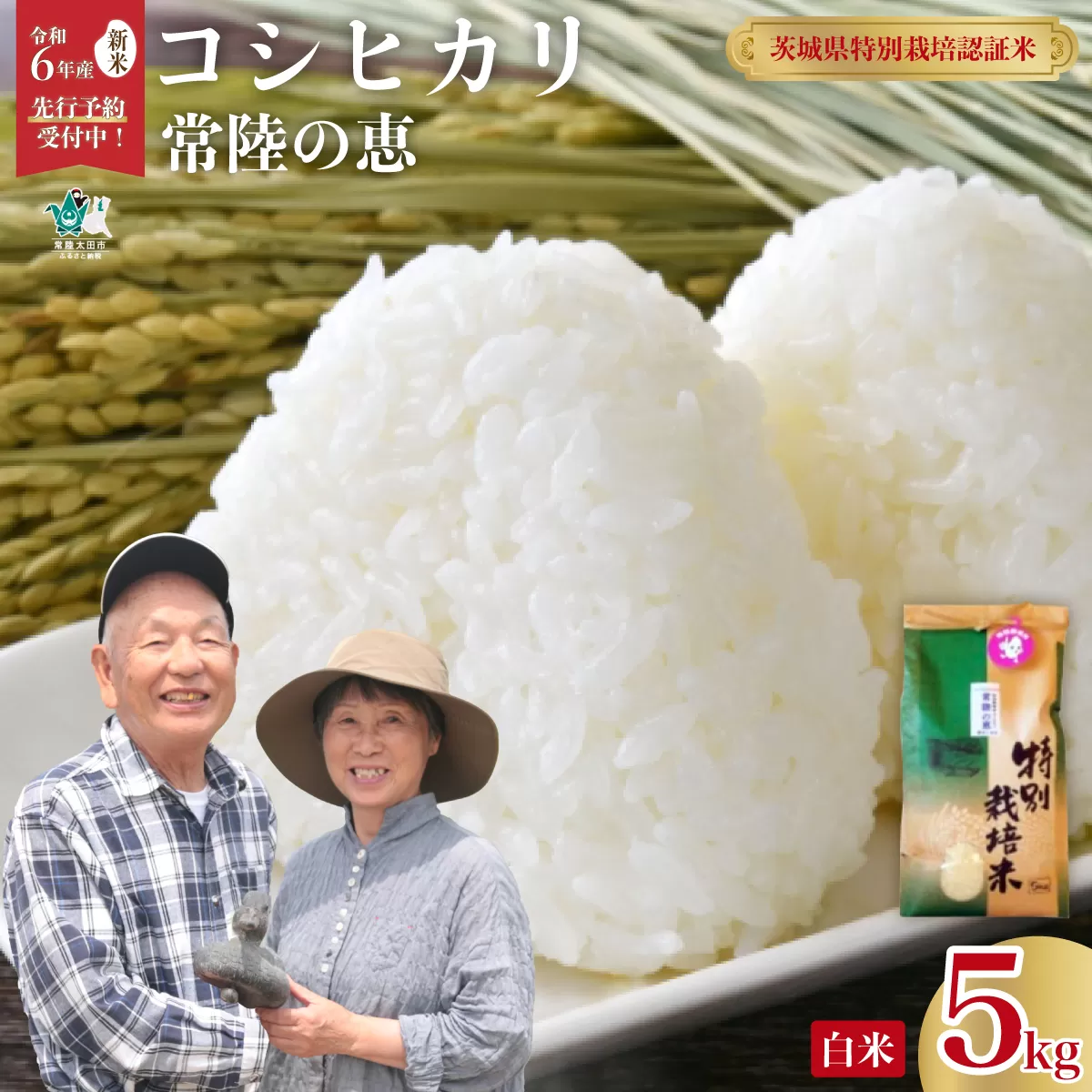 【令和６年産 新米】2週間以内発送 特別栽培認証米 こしひかり 常陸の恵 白米 ５kg【茨城県 常陸太田市 特別栽培認証米 コシヒカリ GAP認証 森 ミネラル 水 山田川 安全 安心 美味しい 米 人気 自然栽培 つやつや もっちり】