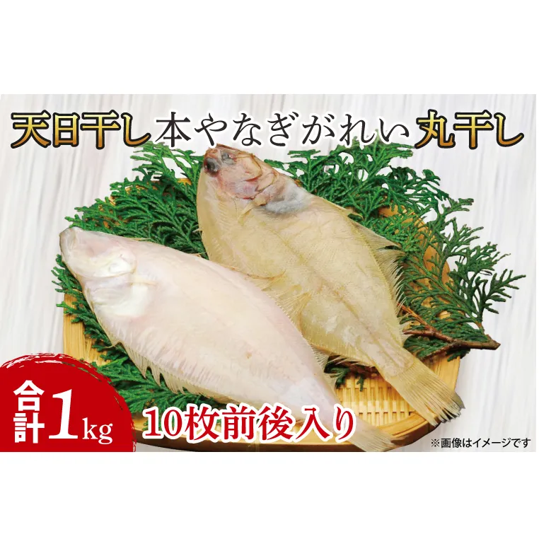 AI004　天日干　本やなぎがれい干　1kg