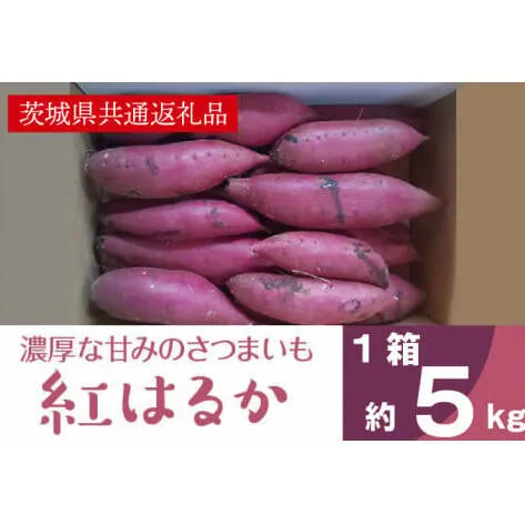 AK001【先行予約】【11月発送】濃厚な甘みさつまいも 紅はるか5kg（茨城県共通返礼品・行方市産）