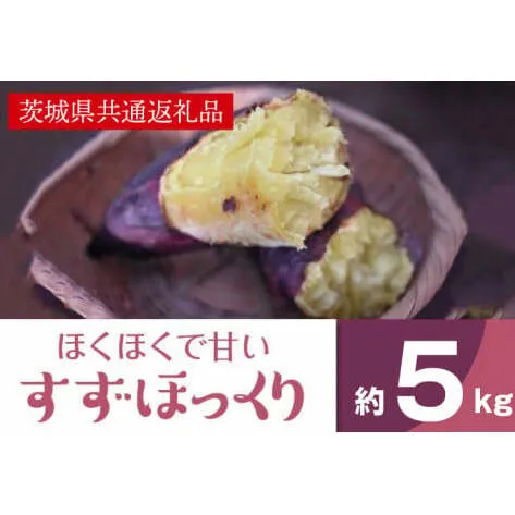 AK005【先行予約】【11月発送】ホクホクで甘いさつまいも すずほっくり5kg（茨城県共通返礼品・行方市産）