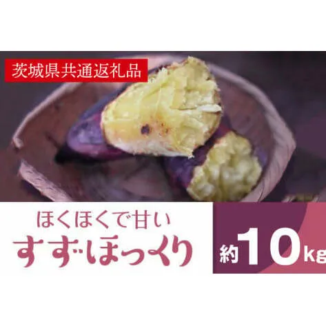 AK006【先行予約】【11月発送】ホクホクで甘いさつまいも すずほっくり10kg（茨城県共通返礼品・行方市産）