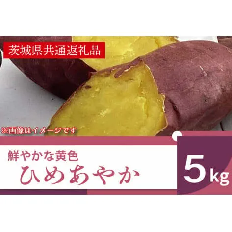 AK007【先行予約】【11月発送】鮮やかな黄色のさつまいも ひめあやか5kg（茨城県共通返礼品・行方市産）