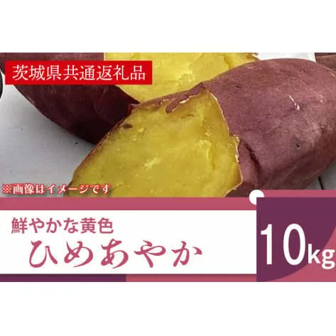 AK008【先行予約】【11月発送】鮮やかな黄色のさつまいも ひめあやか10kg（茨城県共通返礼品・行方市産）