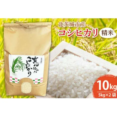 BN002-1　【先行予約】【令和６年産】【数量限定】新米　コシヒカリ精米10kg