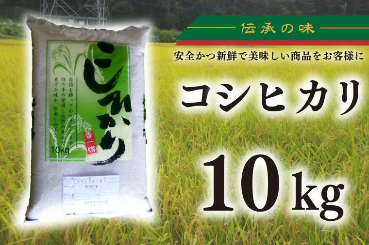 【新米先行予約 】【令和6年産】コシヒカリ　10kg【新米　有機栽培　安心　美味しい　おにぎり　20000円以下】(BD003-1)