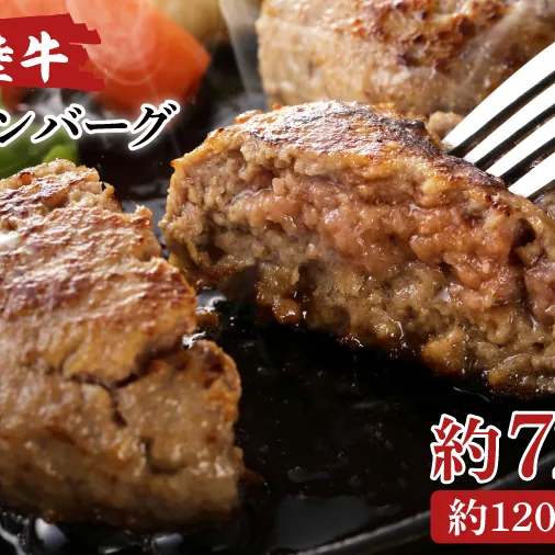 AA016　常陸牛生ハンバーグ　120g×6