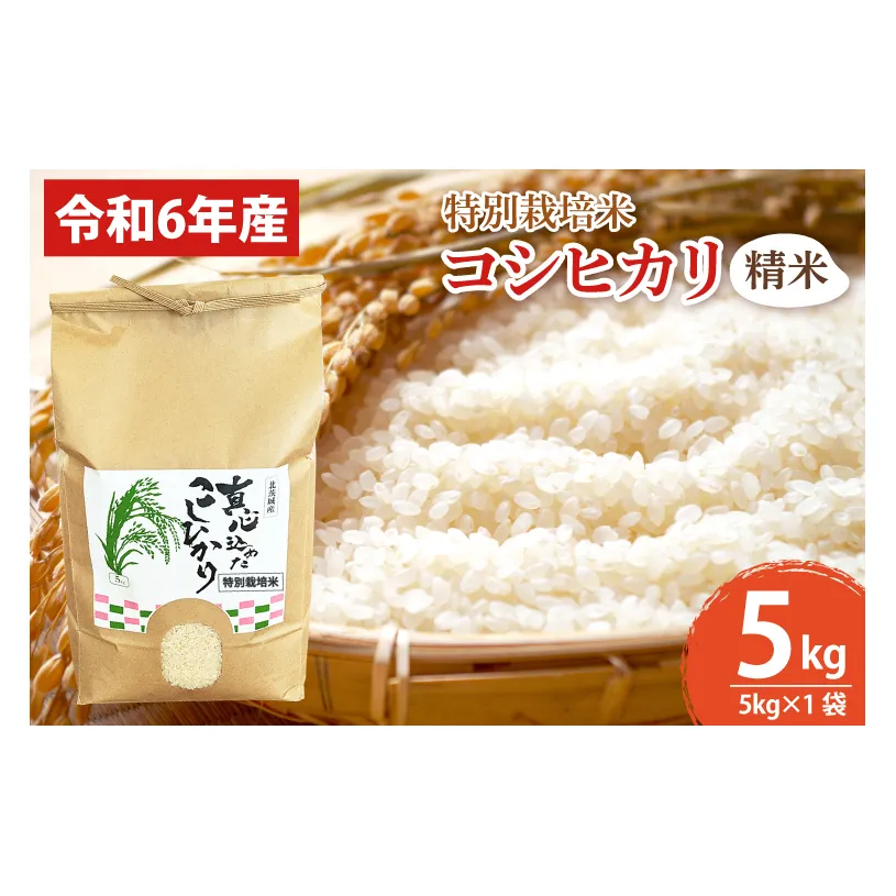 BN004　【先行予約】【令和６年産】【数量限定】新米　コシヒカリ精米5kg  特別栽培米