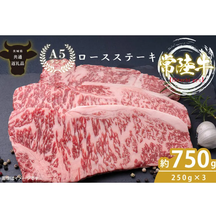 最高級A4.A5ランク 常陸牛ロースステーキ750ｇ（250g×3）【人気肉 お肉 牛肉 和牛 黒毛和牛 国産黒毛和牛 ロース肉 ステーキ 国産牛 焼肉 焼き肉 バーベキュー BBQ A5 ブランド牛】(CR002)