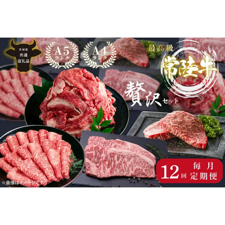 【12回定期便】最高級A4.A5ランク 常陸牛贅沢セット【人気肉 お肉 牛肉 和牛 黒毛和牛 国産黒毛和牛 ロース肉 ステーキ 国産牛 焼肉 焼き肉 バーベキュー BBQ A5 ブランド牛】（CR014）