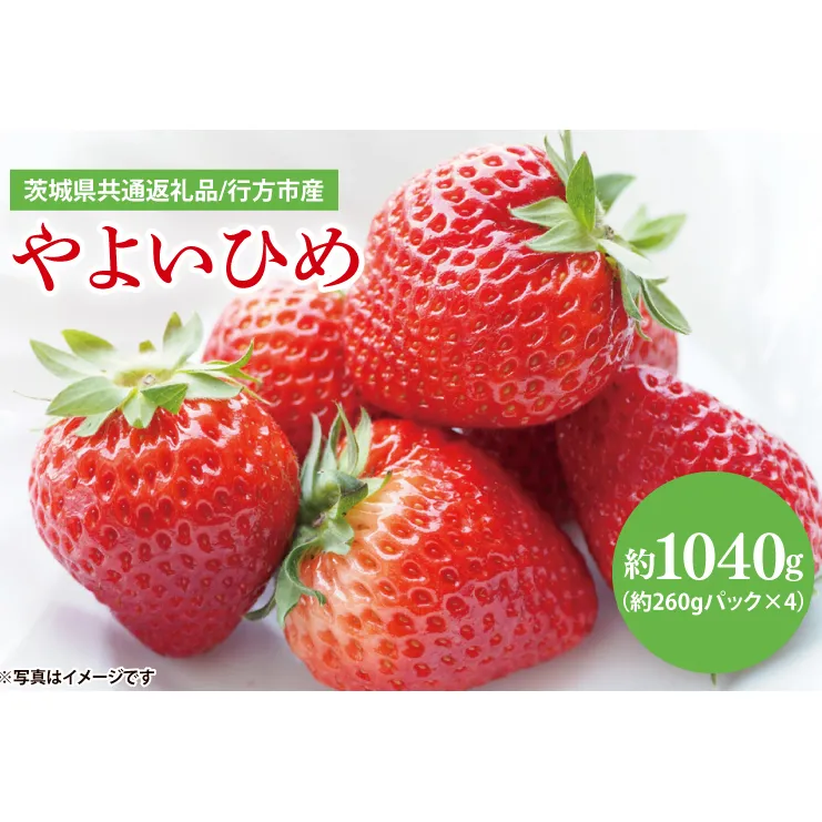 【茨城県共通返礼品/ 行方市産】【2025年1月より順次発送】いちご 「やよいひめ」 約260gパック×4【イチゴ 苺 フルーツ 果物 甘い 】(CS003)