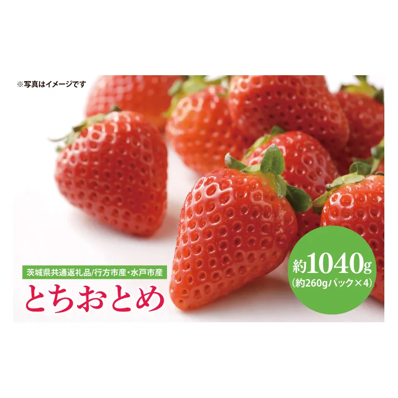 【茨城県共通返礼品/ 行方市産・水戸市産】【2025年1月より順次発送】いちご 「とちおとめ」 約260gパック×4【イチゴ 苺 フルーツ 果物 甘い 大粒】(CS002)